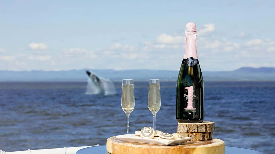 Tadoussac/Charlevoix: VIP Lounge OR UpperDeck Whale Watching - The setting: where the Saguenay meets the St. Lawrence