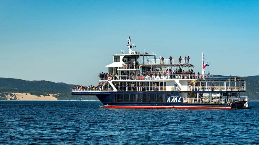 Tadoussac/Charlevoix: VIP Lounge OR UpperDeck Whale Watching - Comfort, food, and service aboard