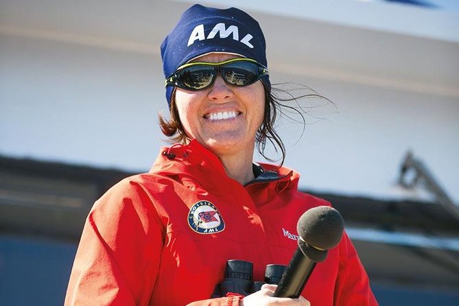 Tadoussac/Charlevoix: Whale Watching Tour - What you might see, and how close it may be