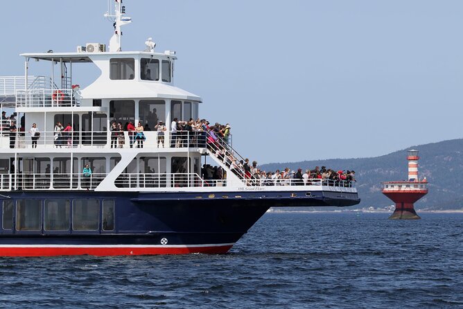 Tadoussac/Charlevoix: Whale Watching Tour - Guides, commentary, and the bilingual experience