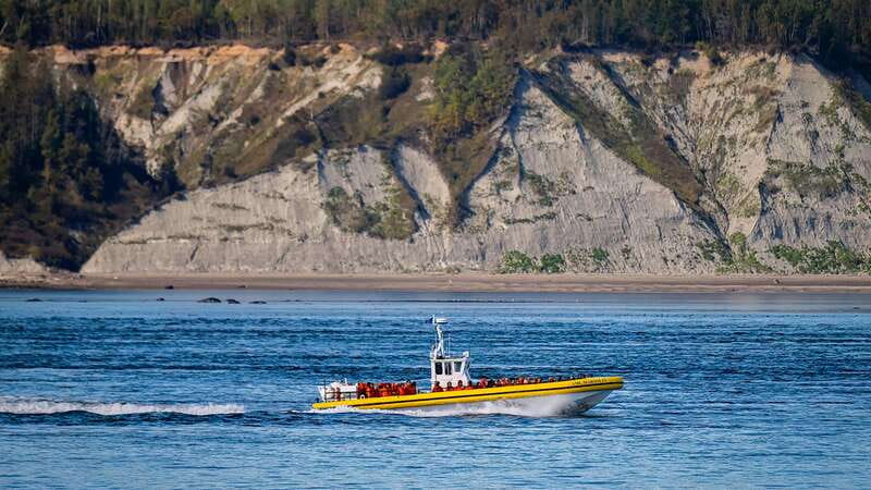 Tadoussac/Charlevoix: Whale Watching Tour & Bear Observation - The move to Ferme 5 Étoiles needs careful planning