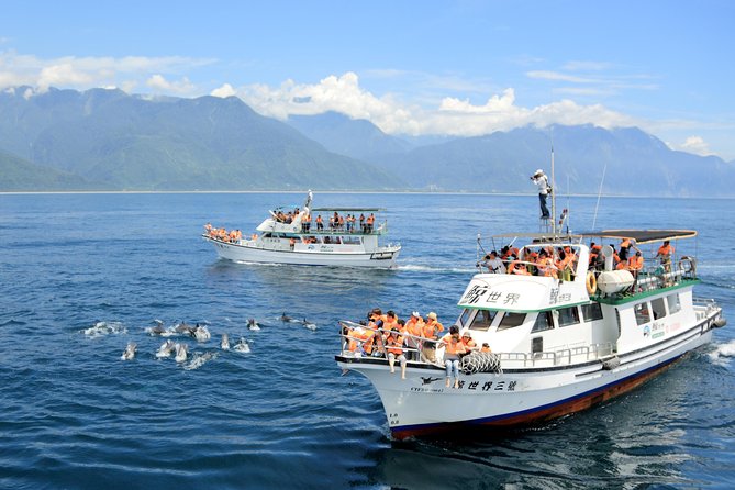 Taiwan Hualien Whale Watching Dolphin - What the captain and guide add