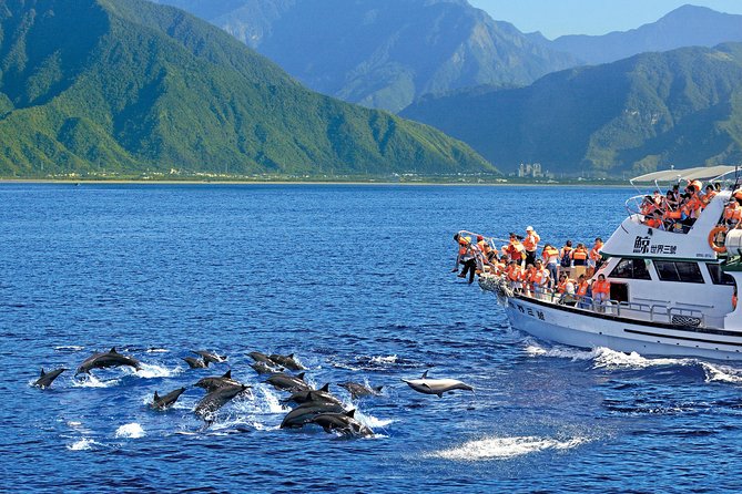 Taiwan Hualien Whale Watching Dolphin - Group size and comfort on the water