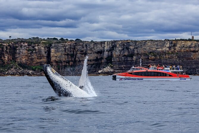 Taronga Zoo & Whale Watching Cruise Combo - Sydney Harbour - Starting at Circular Quay Wharf 6