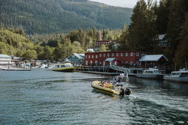 Telegraph Cove: 3-Hour Whale Watching Tour in a Zodiac Boat - More than whales: dolphins, seals, otters, and eagles