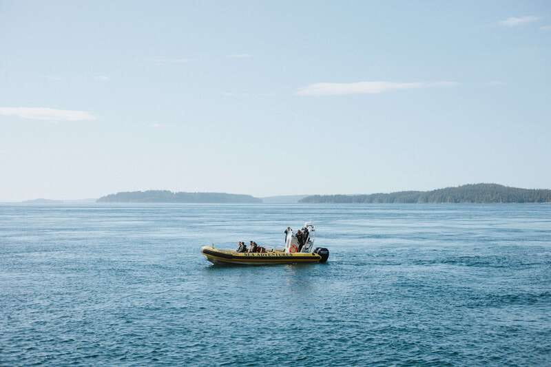 Telegraph Cove: 3-Hour Whale Watching Tour in a Zodiac Boat - How the three hours usually feel