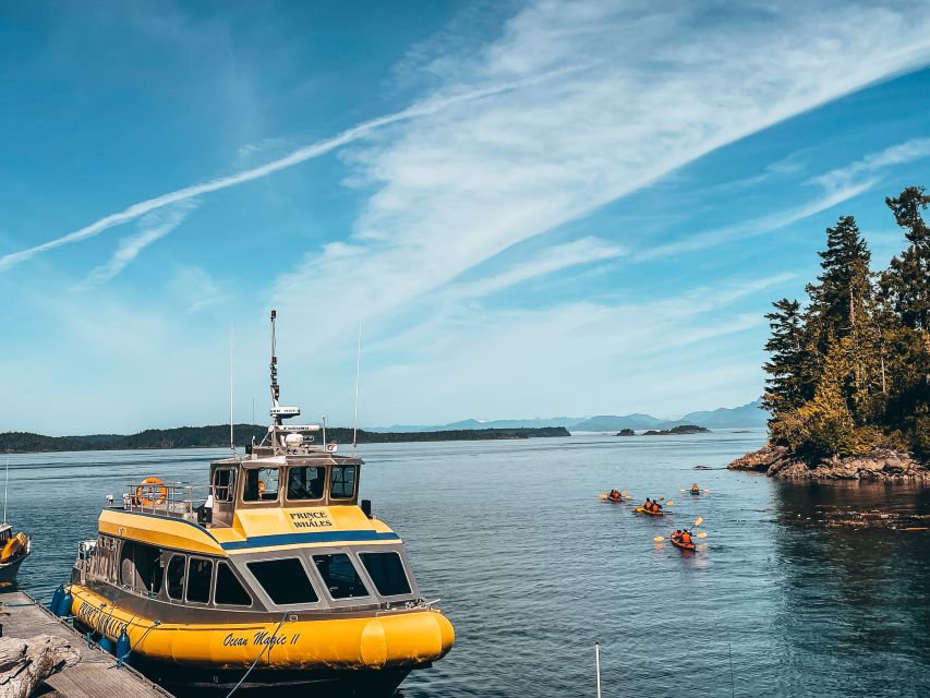 Telegraph Cove: Whale Watching Adventure with Free Photos - Weather, comfort, and the real three-hour rhythm