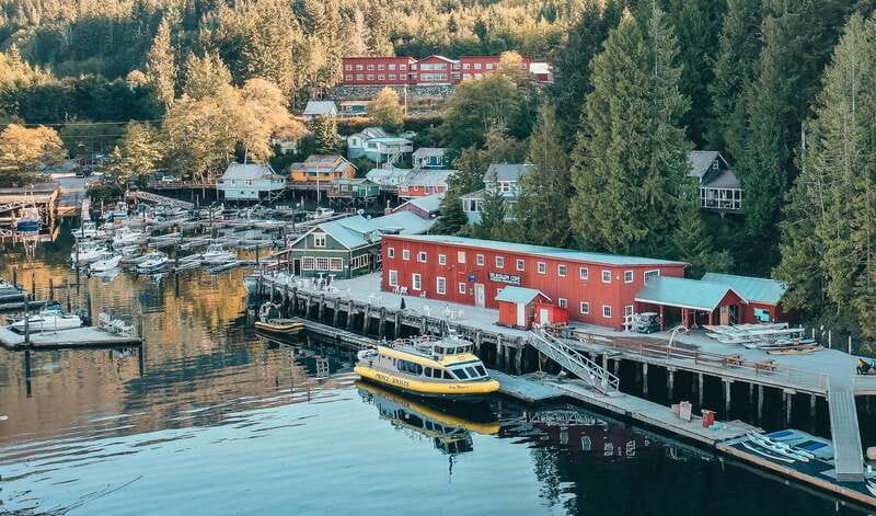 Telegraph Cove: Whale Watching Adventure with Free Photos - Is $149 per person good value?
