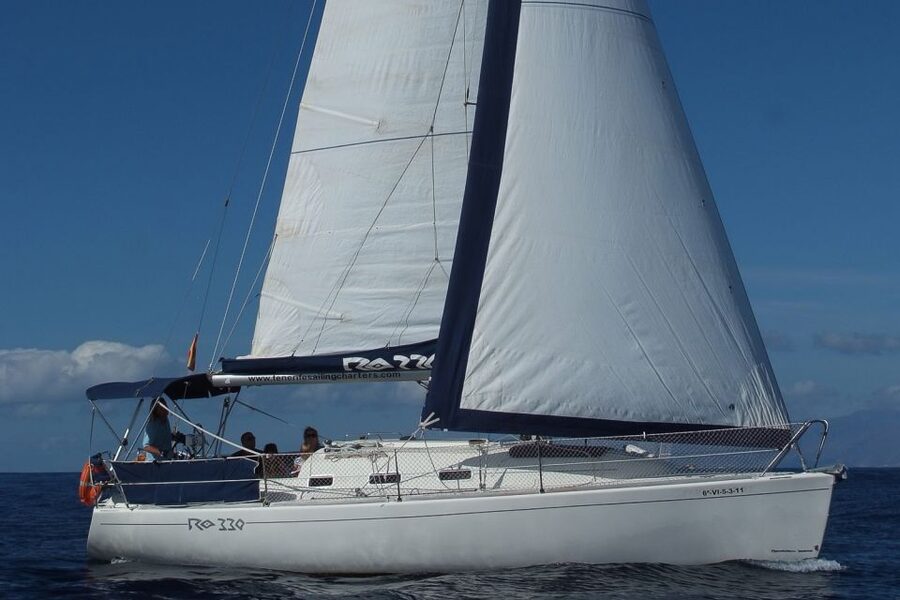Tenerife: 3 &-6 Hour Private Whale & Dolphin Watching - Practical details for a smoother day