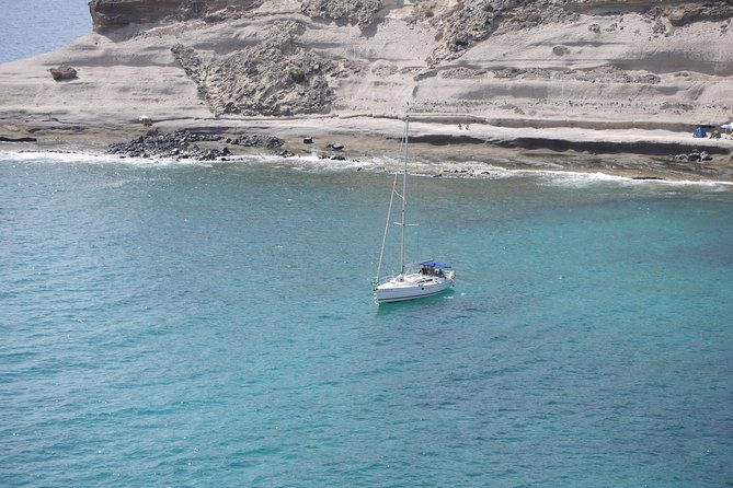 Tenerife 3-Hour Discover Whales and Dolphins - The essentials at a glance