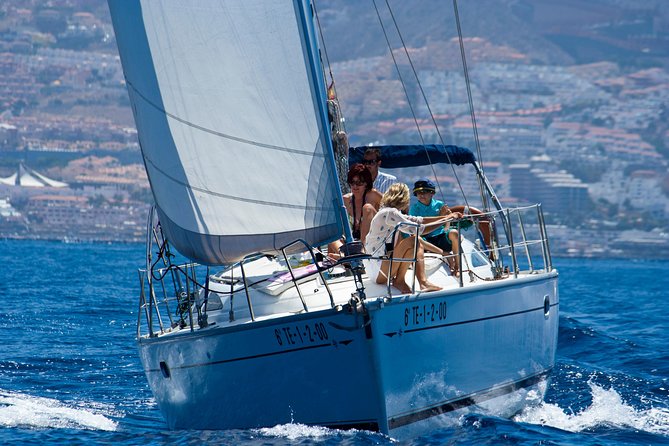 Tenerife 3-Hour Discover Whales and Dolphins - Why the Roulette feels different from a big boat cruise