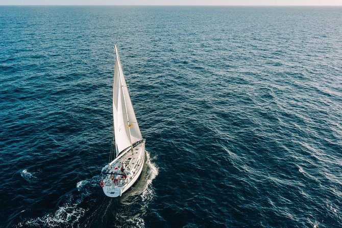 Tenerife 3-Hour Discover Whales and Dolphins - Is $70.68 good value?