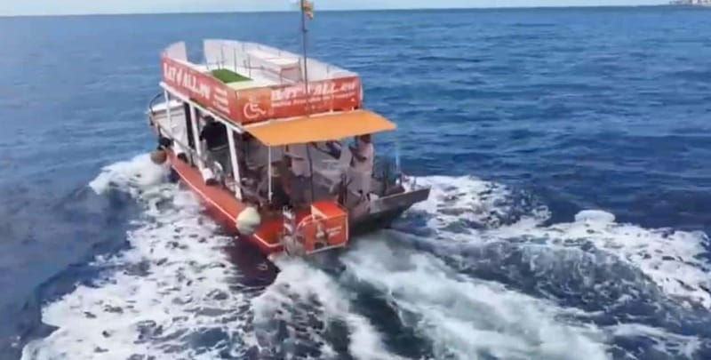 Tenerife: Accessible Whale Watching & Ocean Experience - The swimming and snorkeling stop