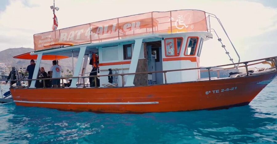 Tenerife: Accessible Whale Watching & Ocean Experience - Who will get the most from this outing