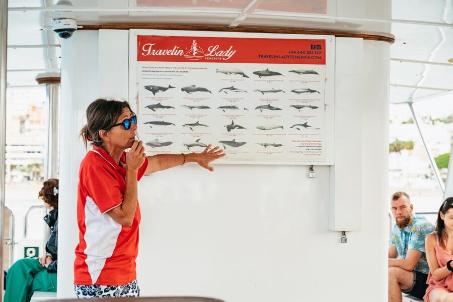 Tenerife: Eco-Yacht Whale and Dolphin Watching and Swimming - Key points before you book