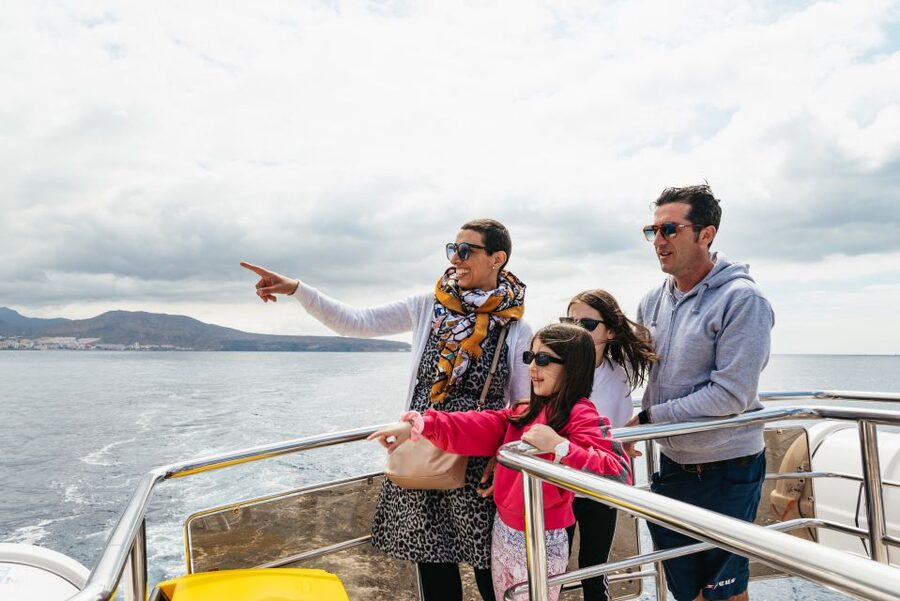 Tenerife: Eco-Yacht Whale and Dolphin Watching and Swimming - What the $13 price really gives you