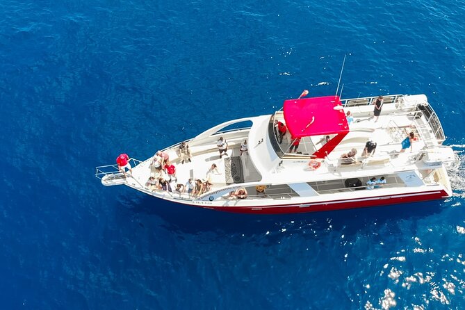 Tenerife Los Cristianos: Whale and Dolphin Eco-Yacht and Swim Stop - The cave of love and the Tenerife coast
