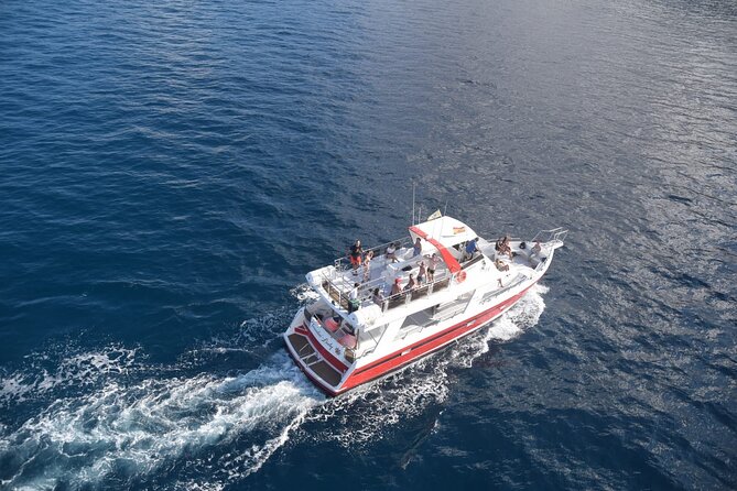 Tenerife Los Cristianos: Whale and Dolphin Eco-Yacht and Swim Stop - What the Blue Boat flag means