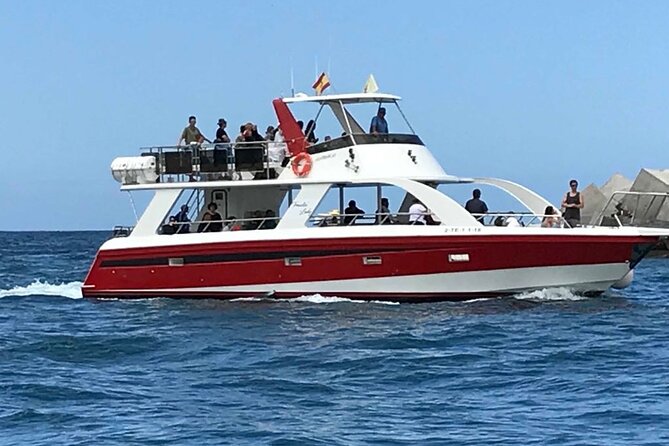 Tenerife Los Cristianos: Whale and Dolphin Eco-Yacht and Swim Stop - A boat trip that can feel both personal and busy