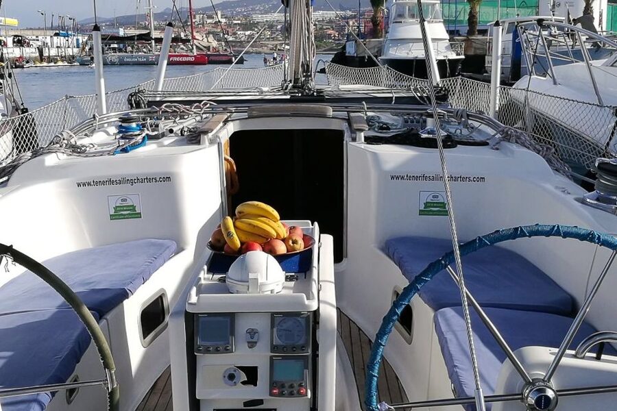 Tenerife: Luxury Private Whale & Dolphin Watching Tour - Setting out from Puerto Colon