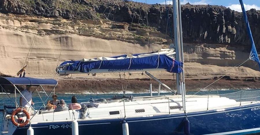Tenerife: Luxury Private Whale & Dolphin Watching Tour - Looking for pilot whales offshore