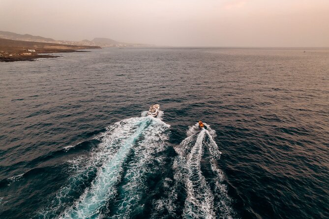 Tenerife Motor Boat Whale Watching & Snorkeling Experience - Following Tenerife’s southern coast