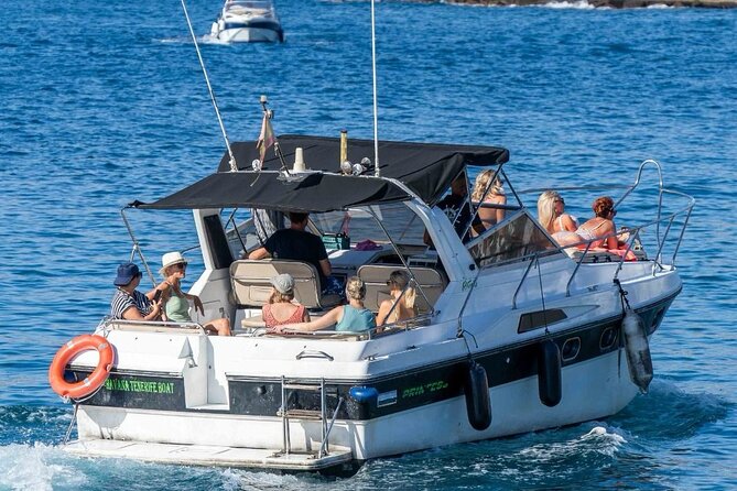 Tenerife Motor Boat Whale Watching & Snorkeling Experience - Practical details that affect your choice