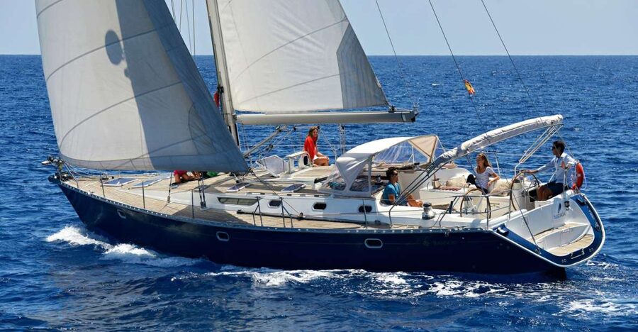 Tenerife: Sailing Excursion with Whale and Dolphin Watching - Seeing Tenerife’s southern coast from the water
