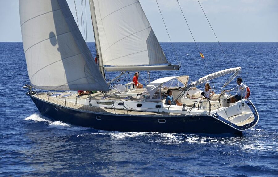 Tenerife: Sailing Excursion with Whale and Dolphin Watching - Watching pilot whales in their natural habitat