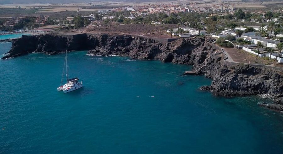 Tenerife: Whale and Dolphin Watching Boat Tour - Key details before you book
