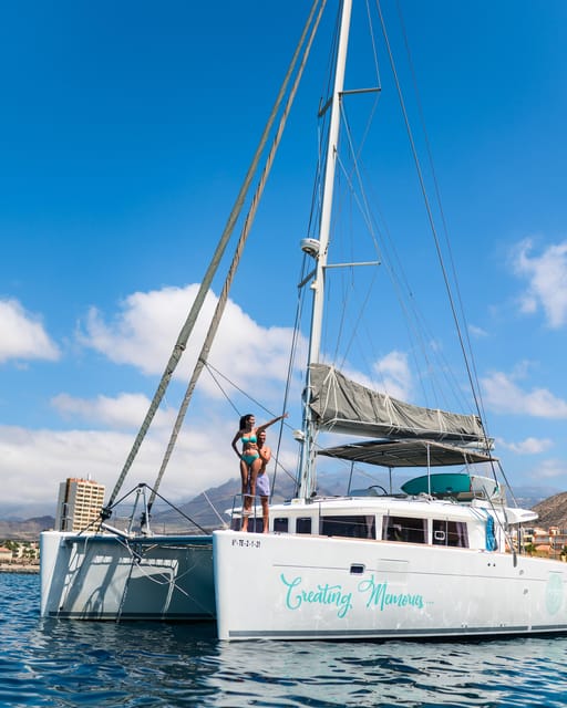 Tenerife: Whale and Dolphin Watching Boat Tour - Seeing whales and dolphins in the wild