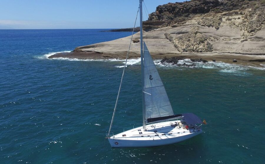 Tenerife: Whale and Dolphin Watching Tour by Sailboat - What Wildlife Watching Really Feels Like