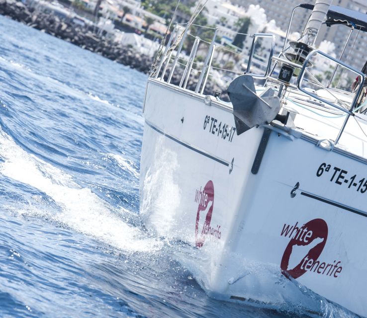 Tenerife: Whale and Dolphin Watching Tour by Sailboat - Drinks, Snacks, and the Included Meal