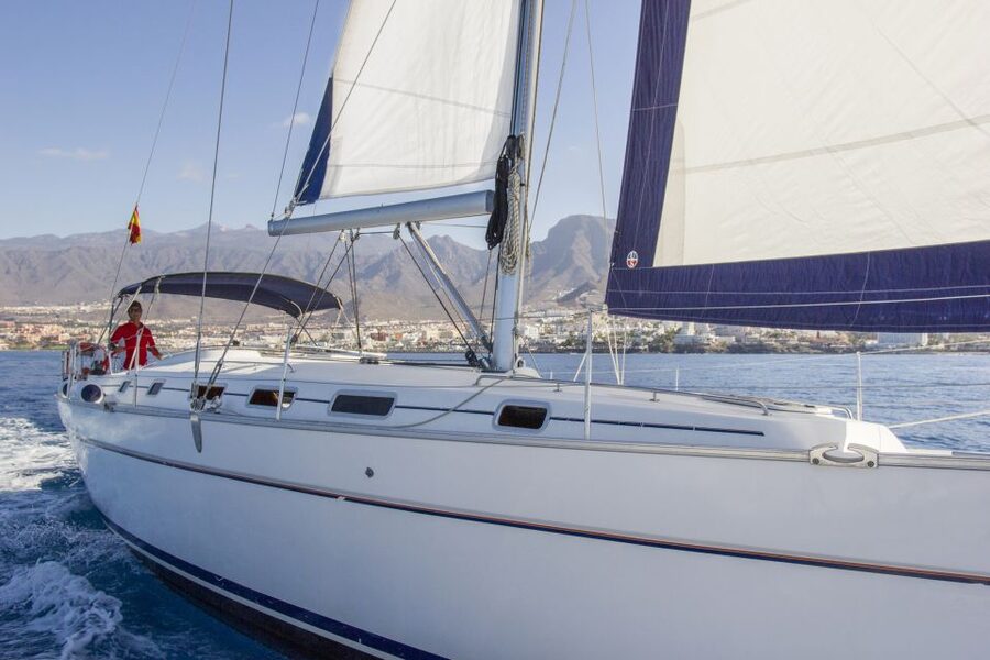 Tenerife: Whale and Dolphin Watching Tour by Sailboat - Who Will Enjoy This Trip Most