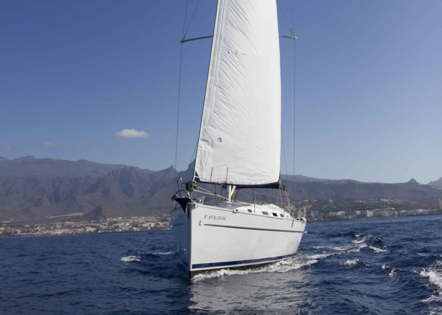 Tenerife: Whale and Dolphin Watching Tour by Sailboat - Searching the Costa Adeje Waters