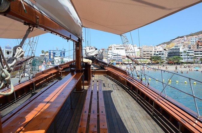 Tenerife: Whale and Dolphin Watching with a Plunge - Who will enjoy this boat trip most?