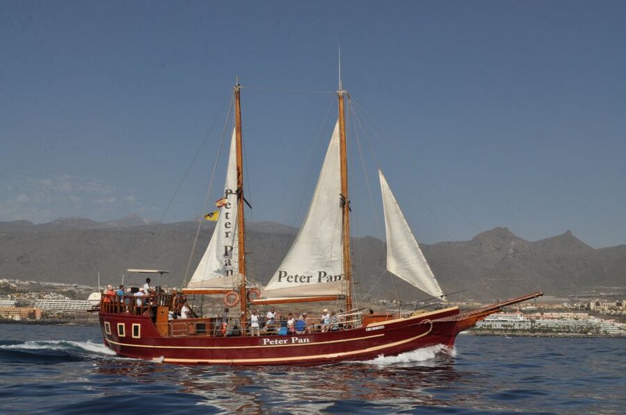 Tenerife: Whale & Dolphin Watching Cruise with Swim Stop - The 15 to 20 minute coastal swim stop