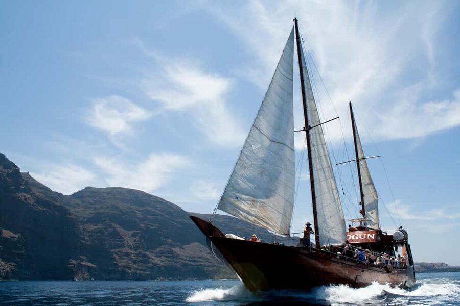 Tenerife: Whale & Dolphin Watching Cruise with Swim Stop - Who should book this cruise?