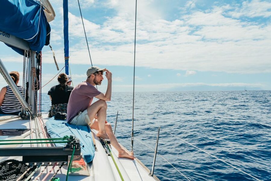 Tenerife: Whale & Dolphin Watching with Drinks and Snacks - Should you book Tenerife Sailing Charters?