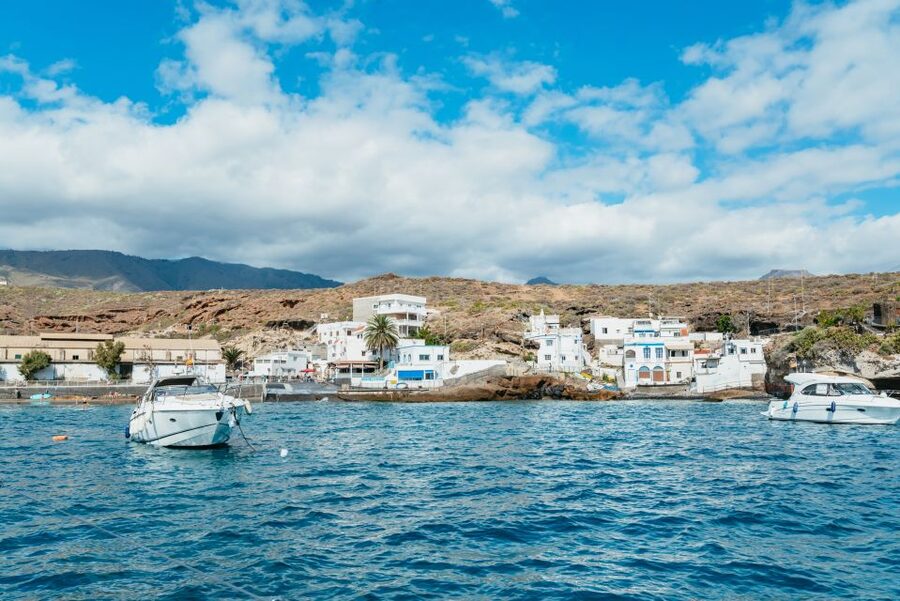 Tenerife: Whale & Dolphin Watching with Drinks and Snacks - What you eat and drink on board