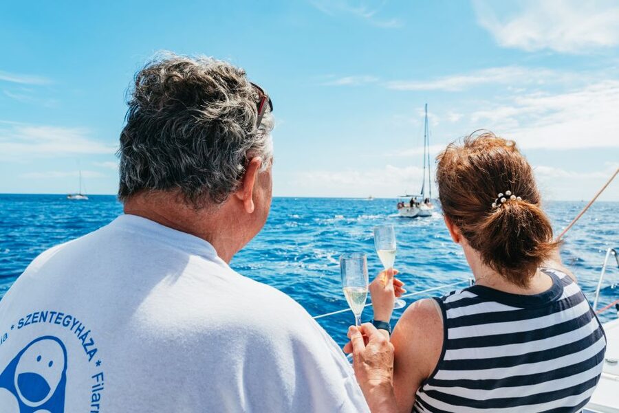 Tenerife: Whale & Dolphin Watching with Drinks and Snacks - Pickup, timing, and what to pack