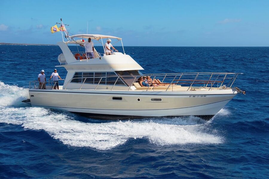 Tenerife: Whale tour and sea swim on a yacht for 22 people - Key details before you book