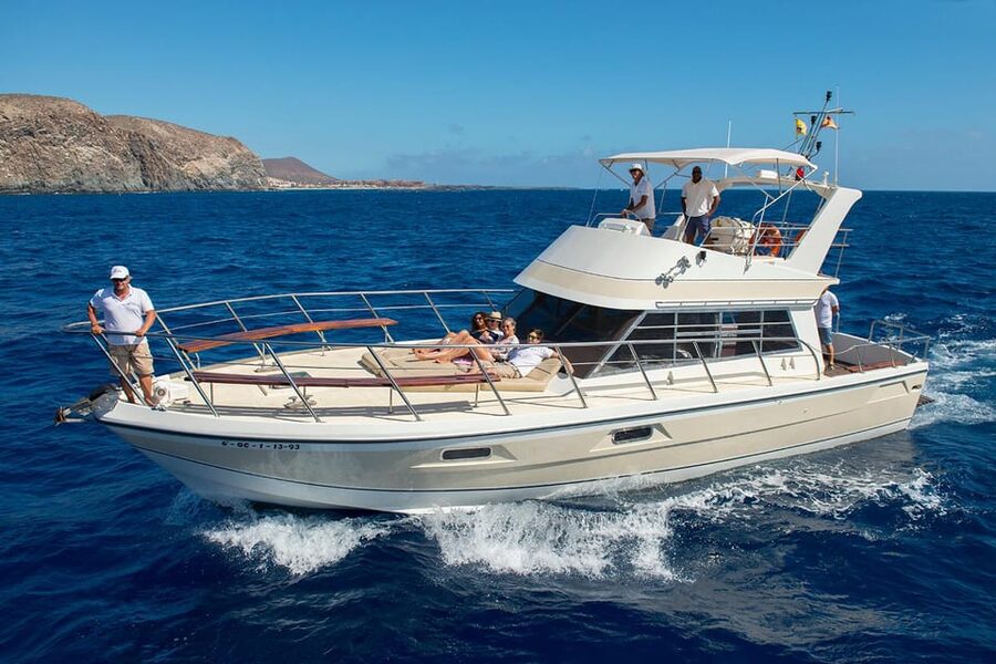 Tenerife: Whale tour and sea swim on a yacht for 22 people - Leaving from Los Cristianos pier