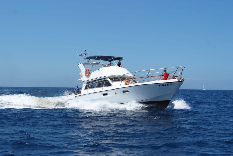 Tenerife: Whale tour and sea swim on a yacht for 22 people - The short swim near the cliffs