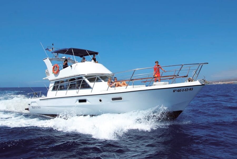 Tenerife: Whale tour and sea swim on a yacht for 22 people - Comfort on a two-hour yacht ride