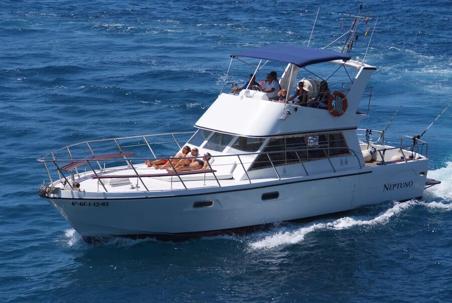 Tenerife: Whale tour and sea swim on a yacht for 22 people - Is $47 a fair price?