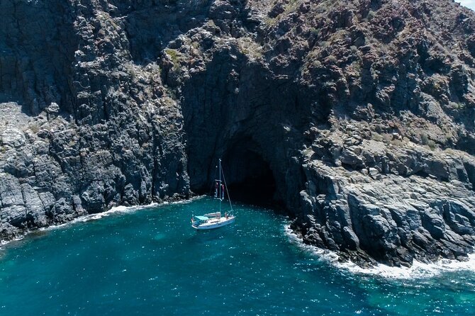 Tenerife Whale Watching and Snorkeling Yacht Trip - Key points at a glance