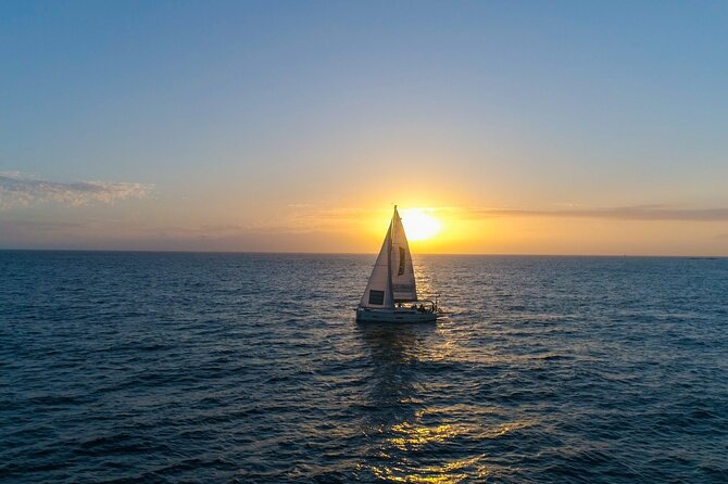 Tenerife Whale Watching and Snorkeling Yacht Trip - Daytime sailing or a sunset outing