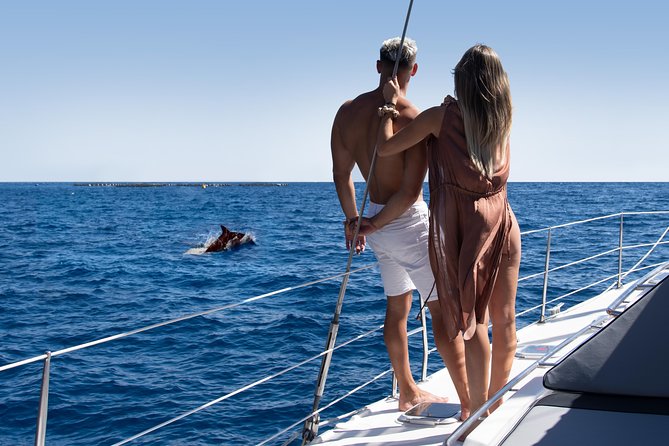 Tenerife Whale watching on private charter - Setting out from Puerto Colón