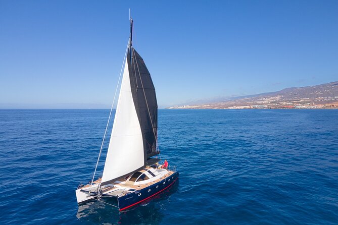 Tenerife Whale watching on private charter - Swimming and snorkeling in a quiet cove